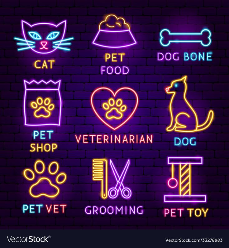 neon signs for pet shop and grooming in the shape of a heart on a brick wall