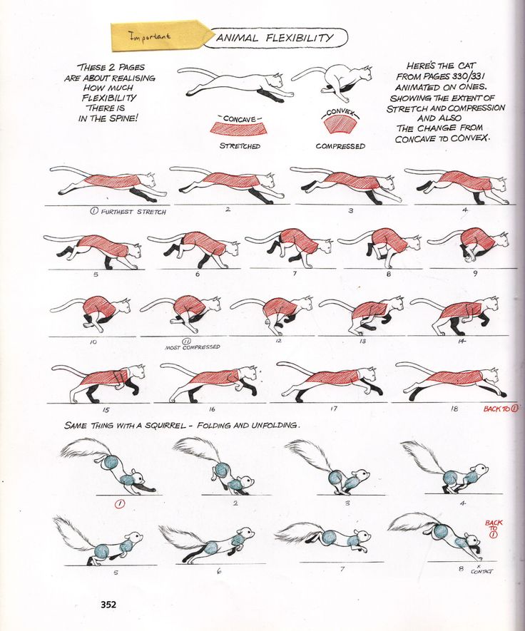 an illustrated drawing shows how to do the same thing in different positions, including running and walking