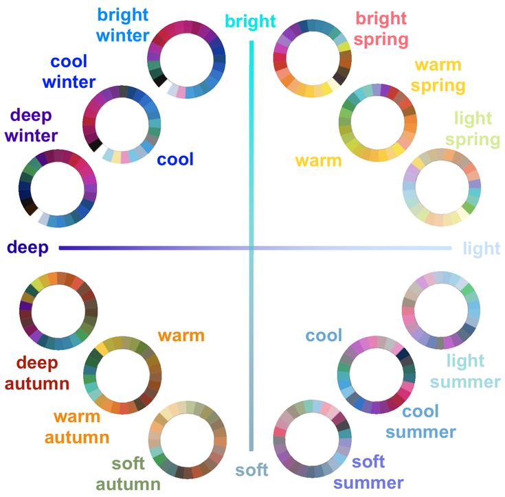 the four different types of winter words are shown in this graphic style, including snow, cold, and warm