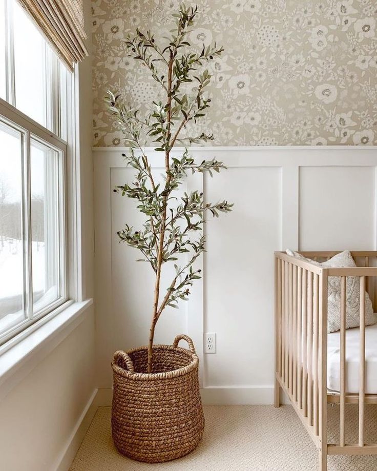 a baby's room with a crib and tree in the corner by the window