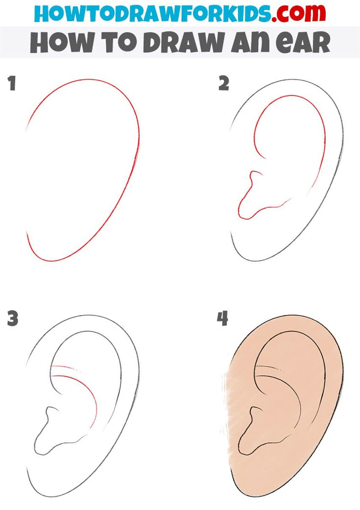 how to draw an ear step by step with pictures for kids and beginner drawing