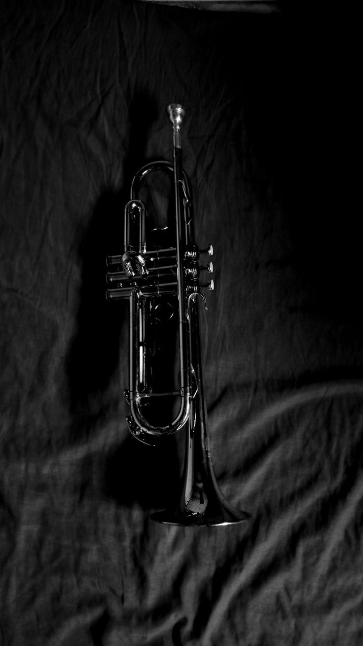 a black and white photo of a trumpet laying on a bed with a sheet in the background