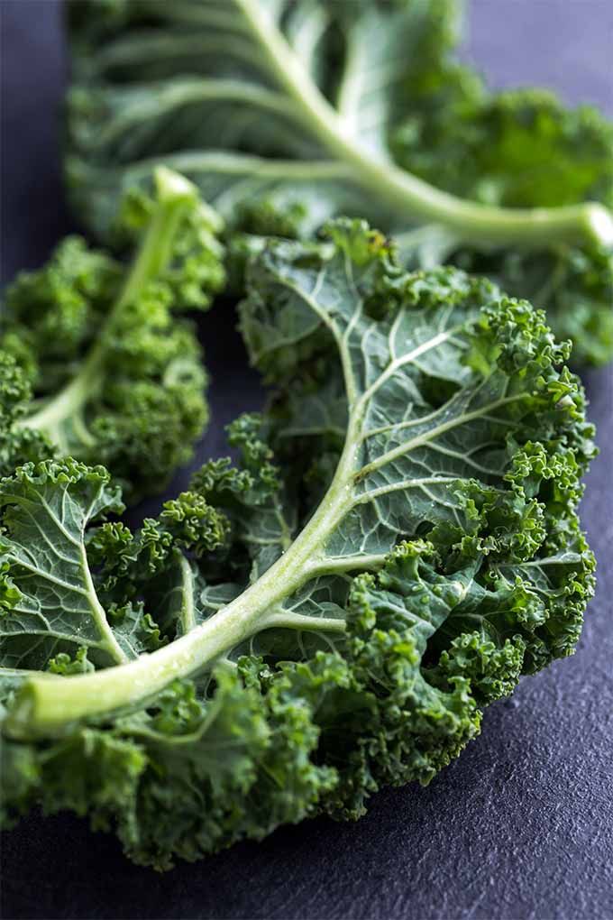 some green leafy vegetables are laying on a table