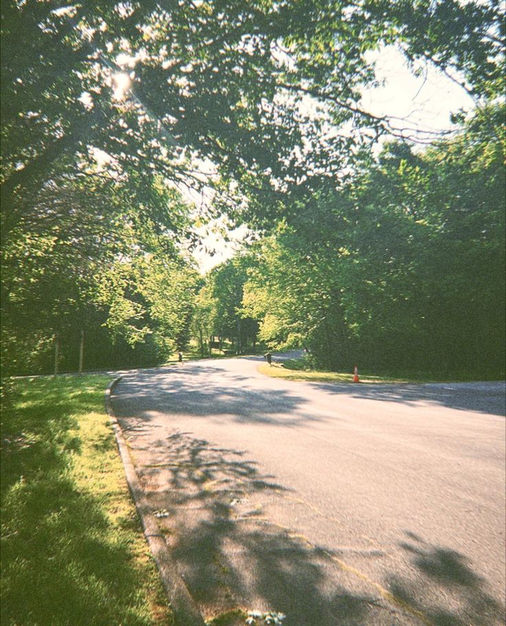 an empty street in the middle of some trees