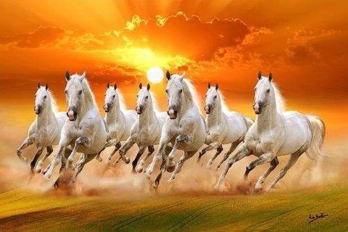 a group of white horses running across a field with the sun setting in the background