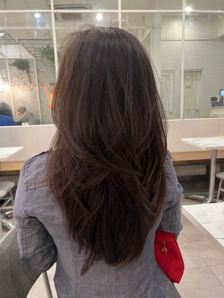 V Layers Haircut, Layered Triangle Haircut, Medium Layered Hair V Shape, Long Layers Haircut Unstyled, Medium V Shaped Haircut, Back Length Hair With Layers, Layered Brunette Haircut, Hair Layers For Long Hair, Asian Layered Hair Straight