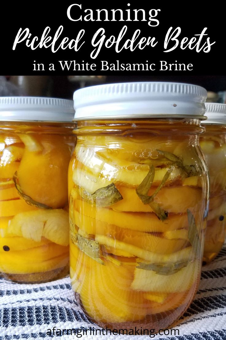 canning pickled golden beets in a white balsamic brine is easy and fun