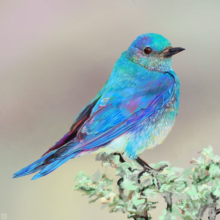 a blue bird sitting on top of a tree branch