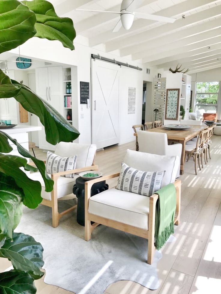 a living room filled with furniture and lots of greenery