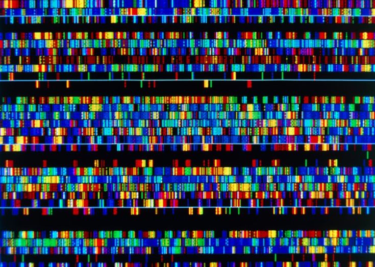 an array of multicolored lines on a black background