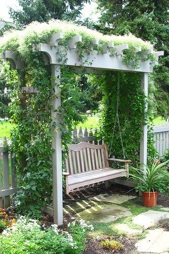 a wooden bench sitting in the middle of a lush green yard with vines growing over it