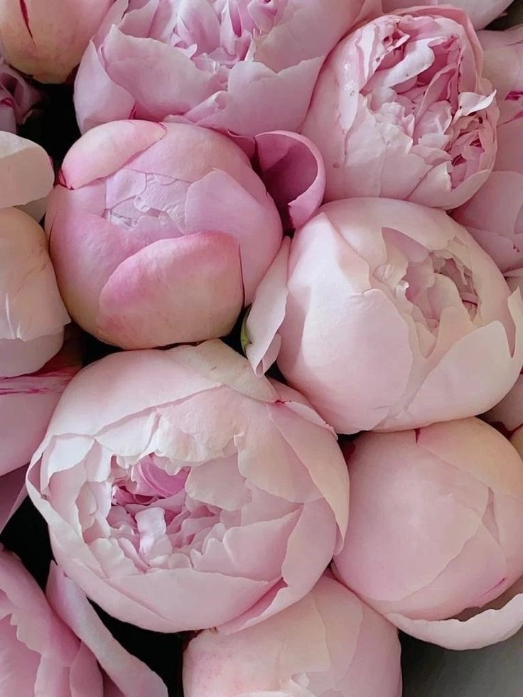 a bunch of pink peonies in a bowl