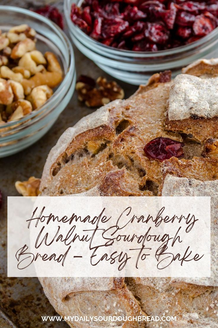 homemade cranberry walnut sourdough bread - easy to bake