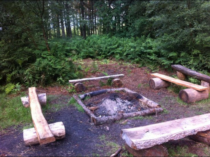 an outdoor fire pit surrounded by trees and logs