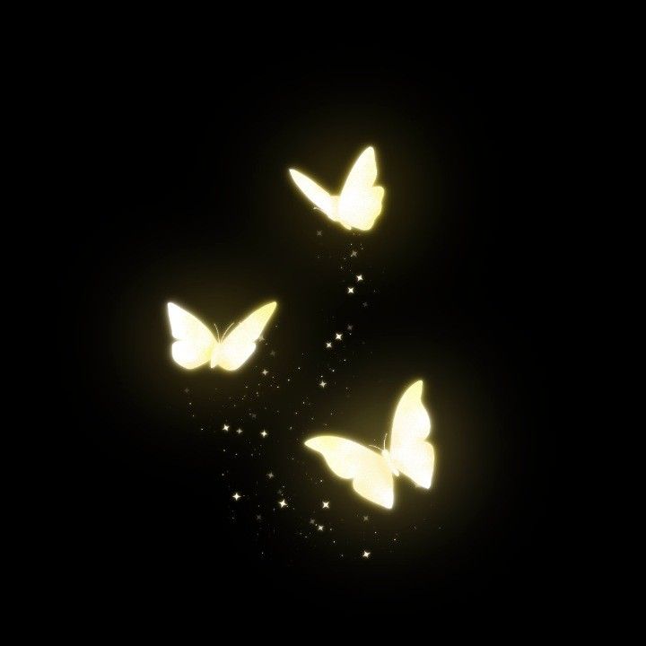 three yellow butterflies flying in the night sky