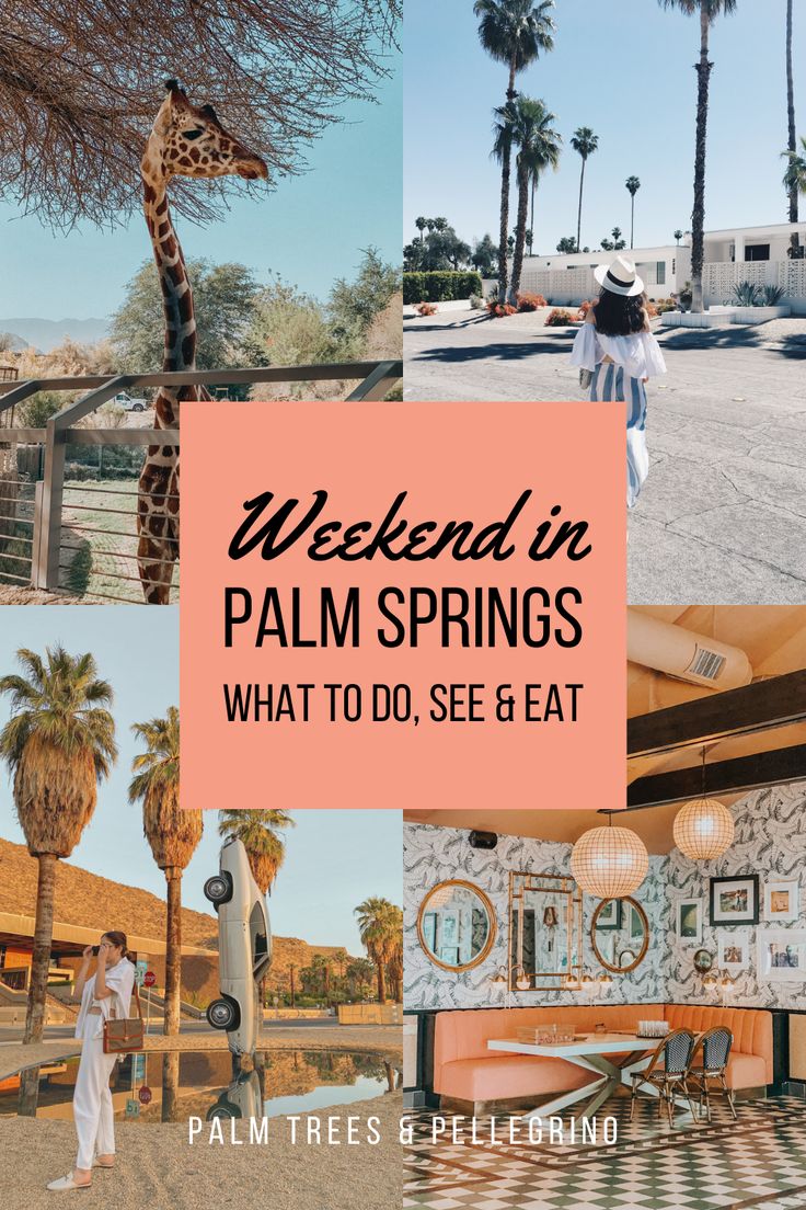 palm trees and people in the background with text that reads weekend in palm springs what to do, see & eat