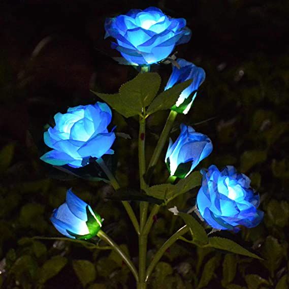 three blue roses lit up in the dark