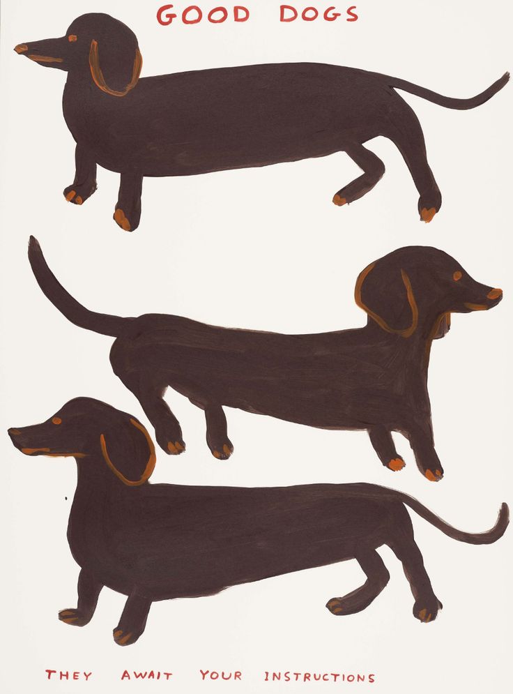 three black dachshunds are shown on a white background with the words, good dogs