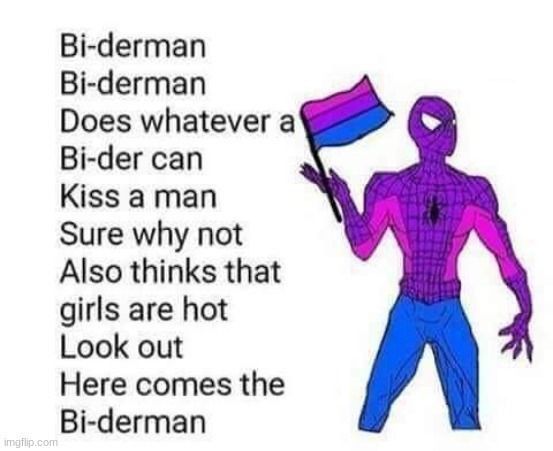 a spider man holding a flag with the words,'birdman does whatever a bride can