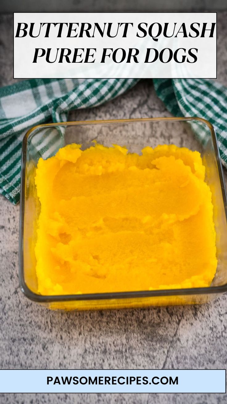 butternut squash pure for dogs in a glass dish