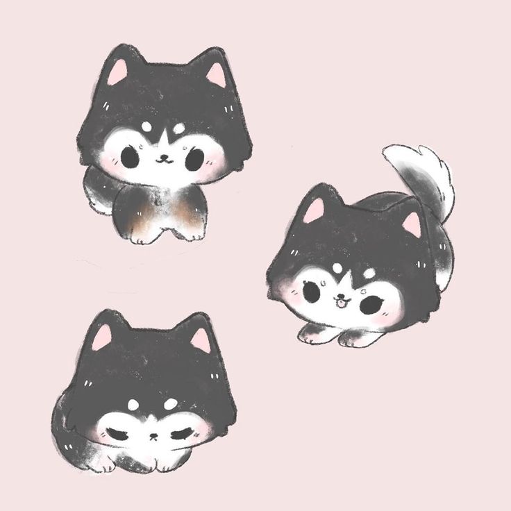 three small black and white cats on a pink background