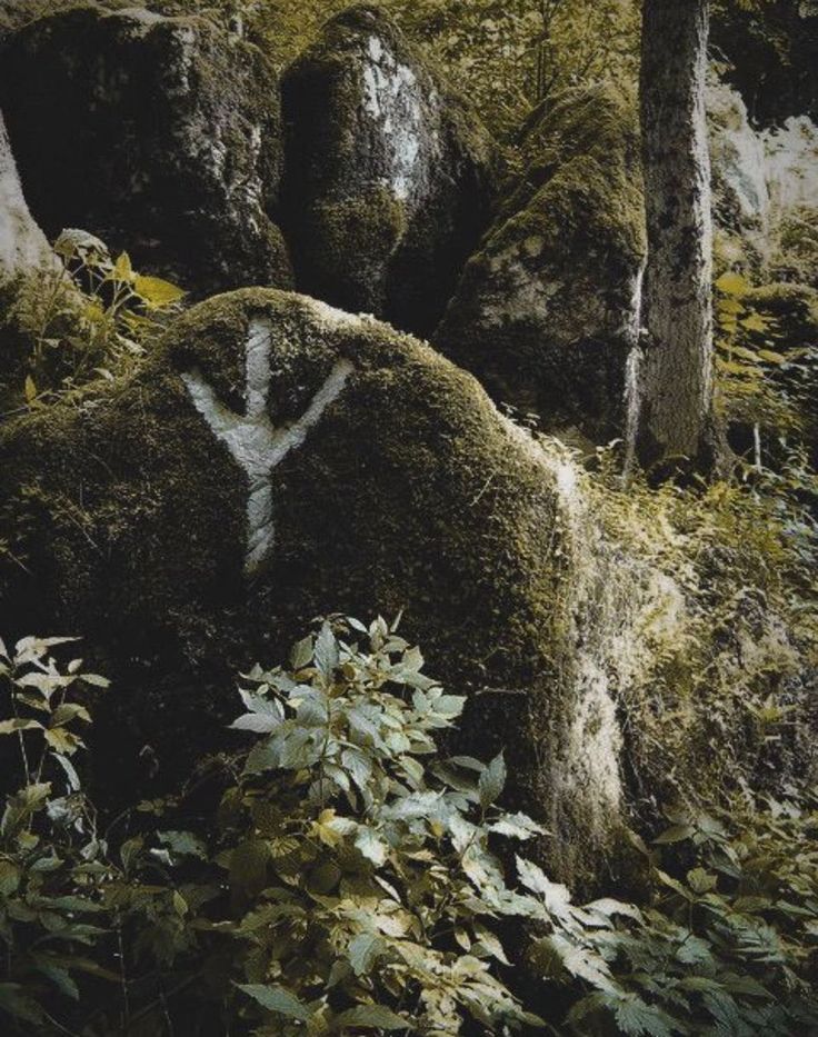 moss covered rocks in the woods with trees and bushes around them, including one that has a cross painted on it