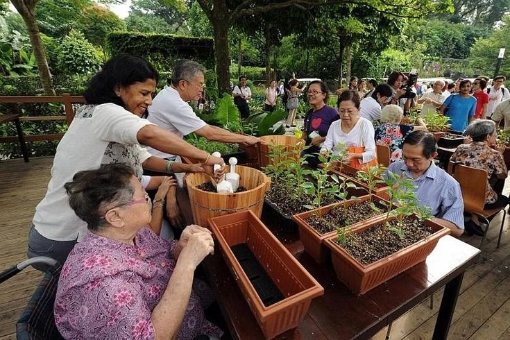 many people are sitting at tables with potted plants on them, and one person is placing something in the planter