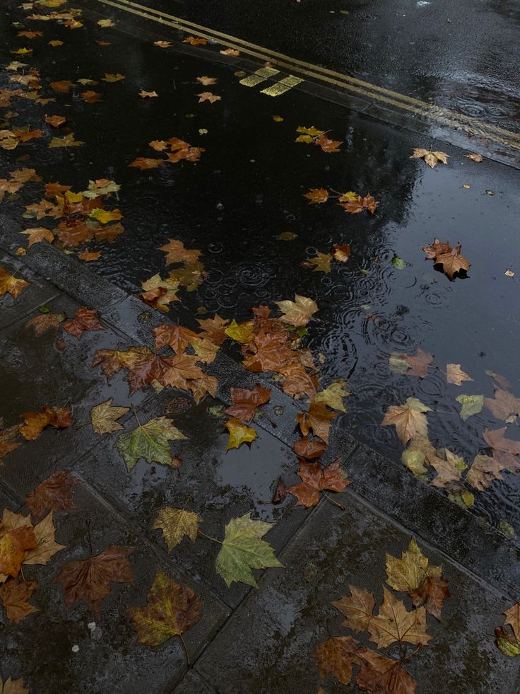 an umbrella is sitting on the wet ground next to some leaves that are laying on the pavement