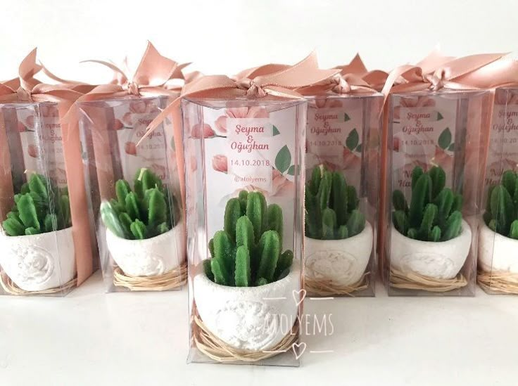 four small pots with plants in them sitting on a table next to ribbons and bows