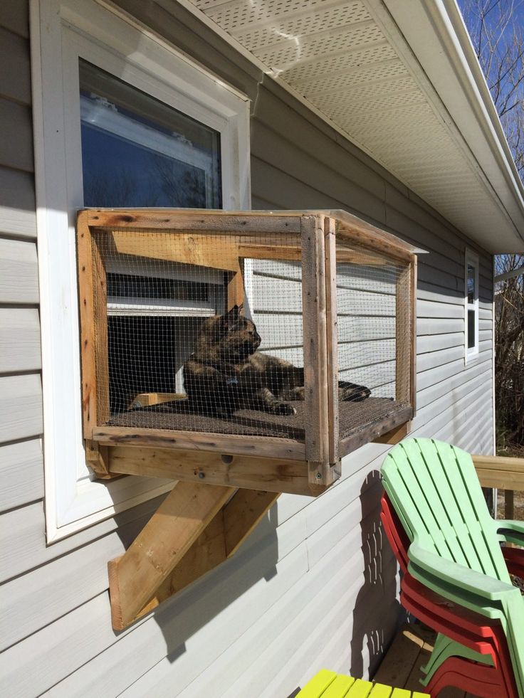 a dog in a cage hanging from the side of a house