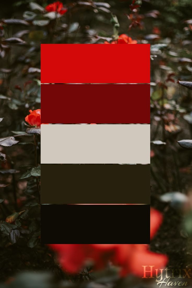 red, white and black stripes are in the middle of some bushes with flowers behind them