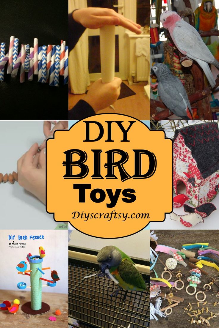 there are many different types of bird toys in this collage with the words diy bird toys