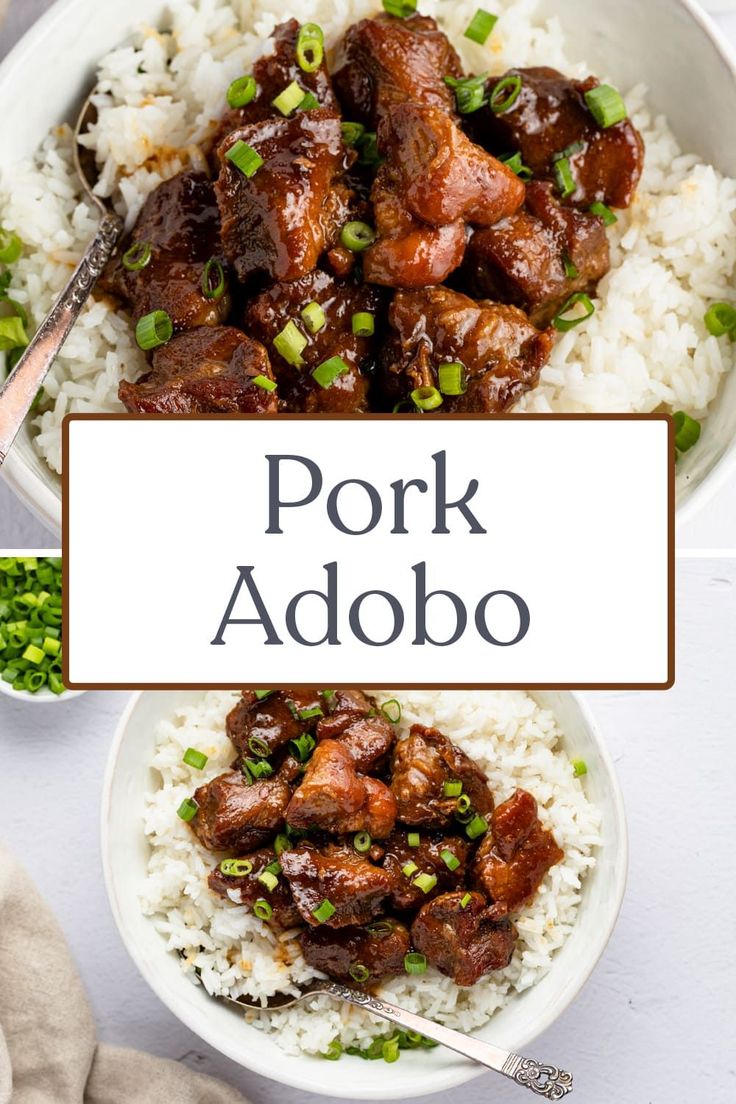 pork adobo with white rice and green onions in a bowl on the side