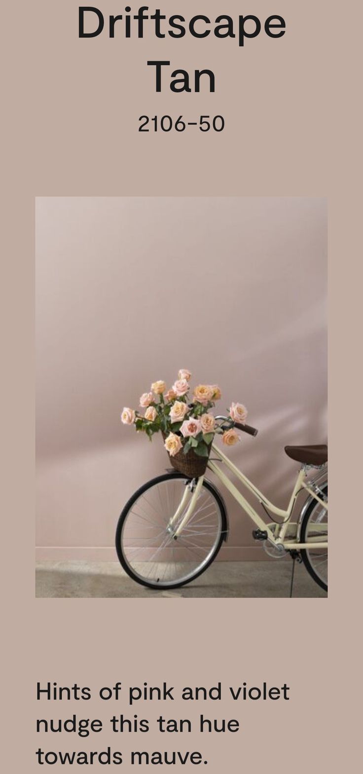 a bicycle with flowers in the basket on it