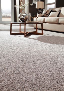 a living room scene with focus on the carpet