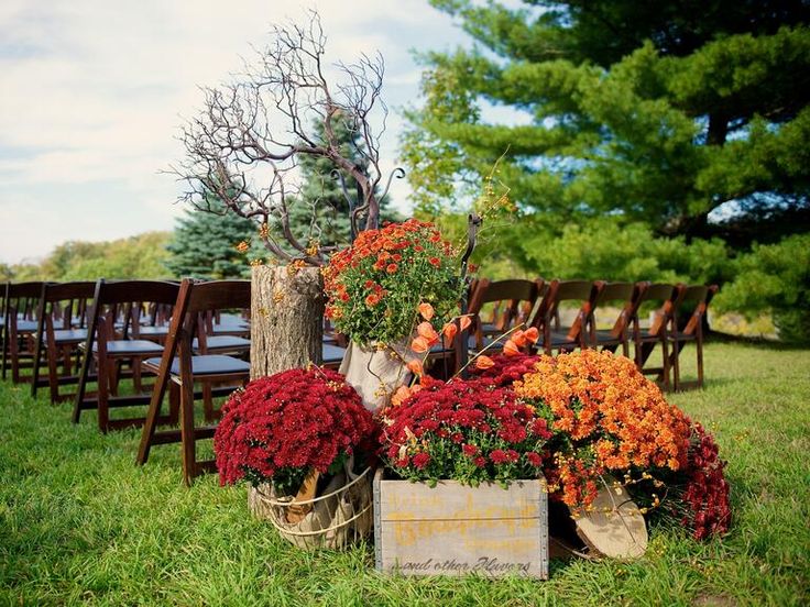 an arrangement of flowers in vases sitting on the grass next to rows of chairs