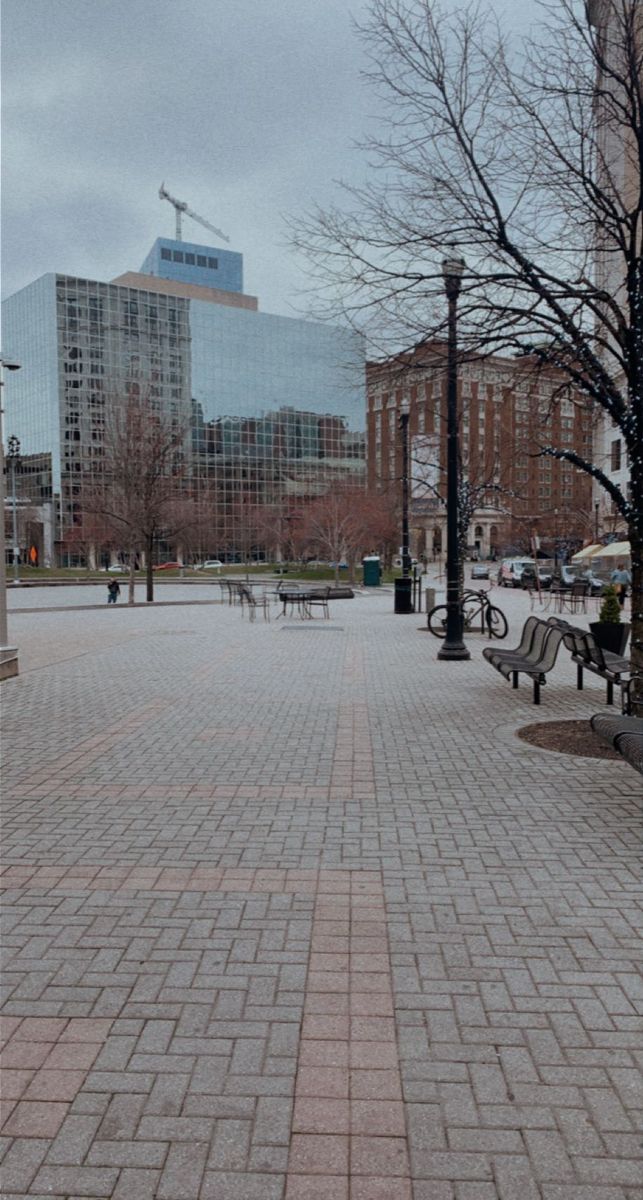 an empty street with benches and trees on the side walk in front of tall buildings