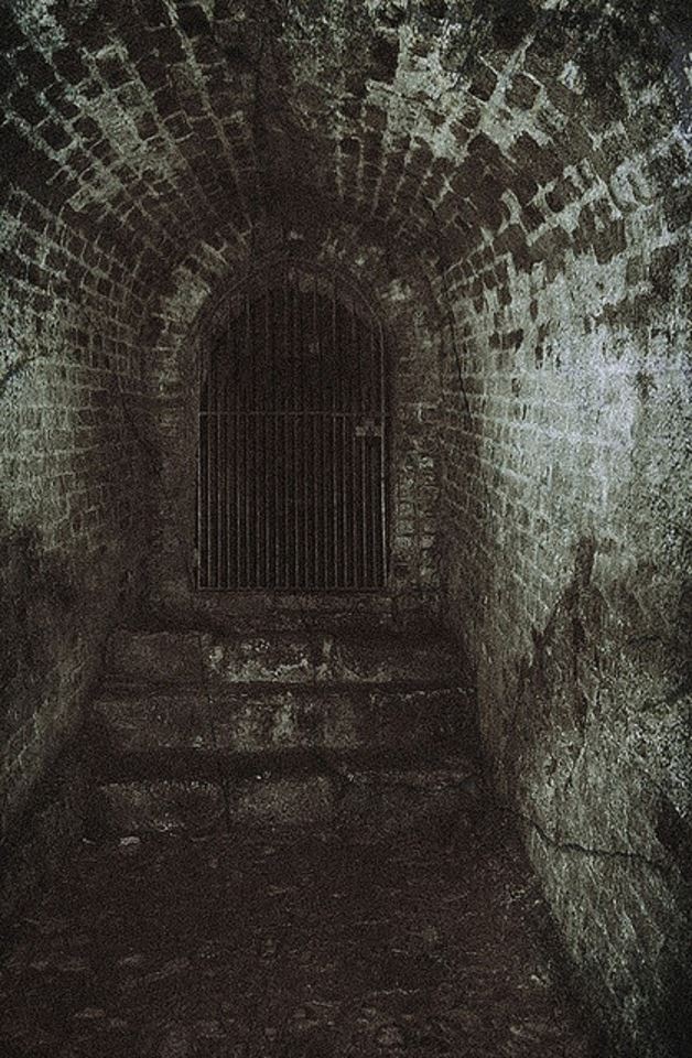 an old brick tunnel with bars in it