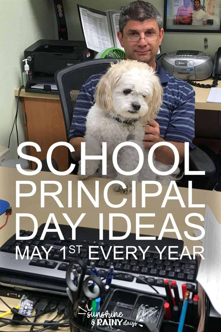 a man sitting in front of a computer desk with a dog on his lap and the words school principals day ideas may 1st every year