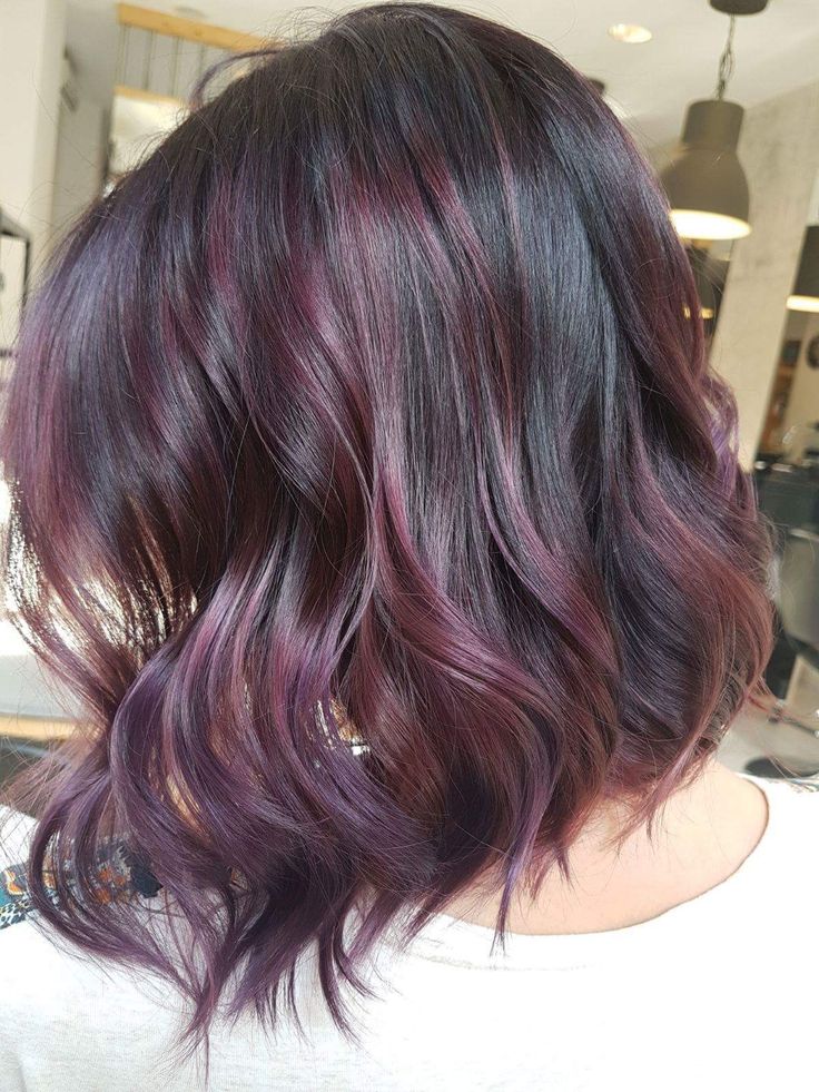 Asian Colored Hair Short, Plum Hair Highlights On Black Hair, Eggplant Hair Color Balayage, Burgundy Medium Hair, Purple Babylights On Dark Hair, Brown Hair Plum Highlights, Plum Balayage On Black Hair, Plum Brown Hair Color With Highlights, Berry Highlights Brown Hair