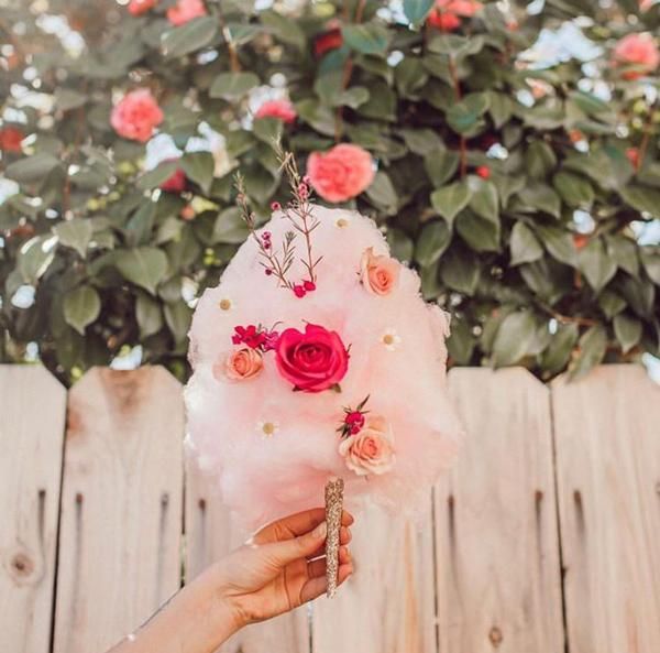 a person holding flowers in front of a wooden fence with roses growing on the top