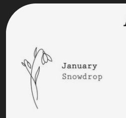 a black and white photo with the words january snowdrop