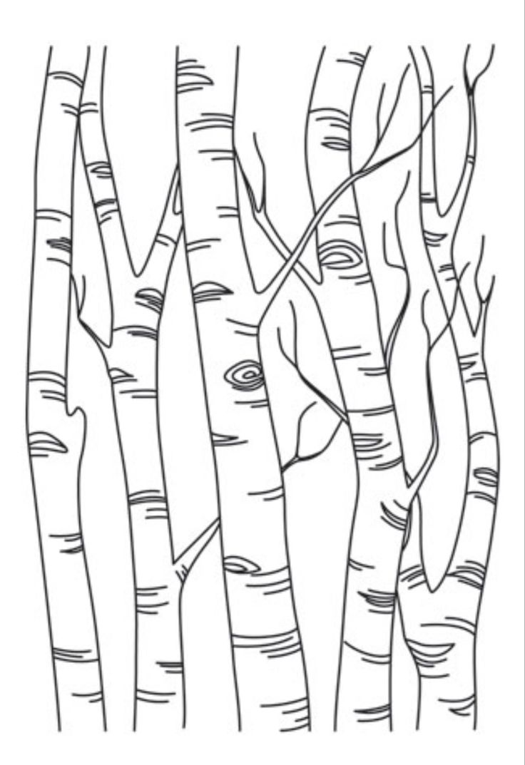 a line drawing of trees in the woods