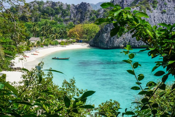 a beach with boats and trees on the shore