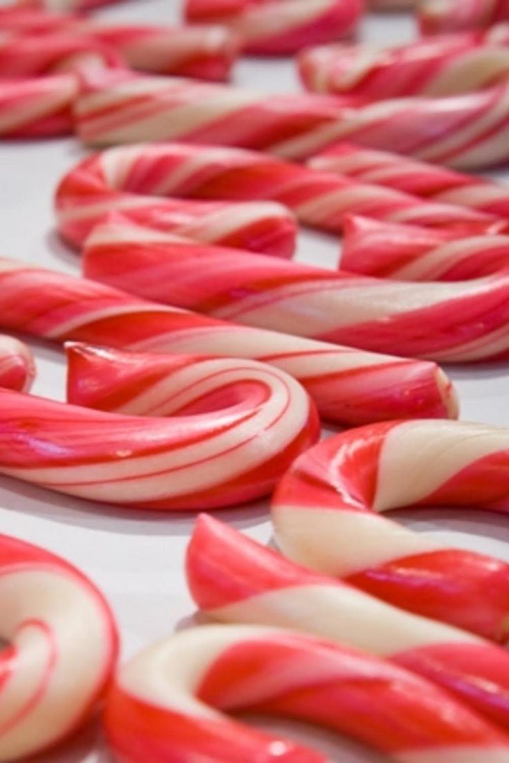 red and white candy canes laying on top of each other