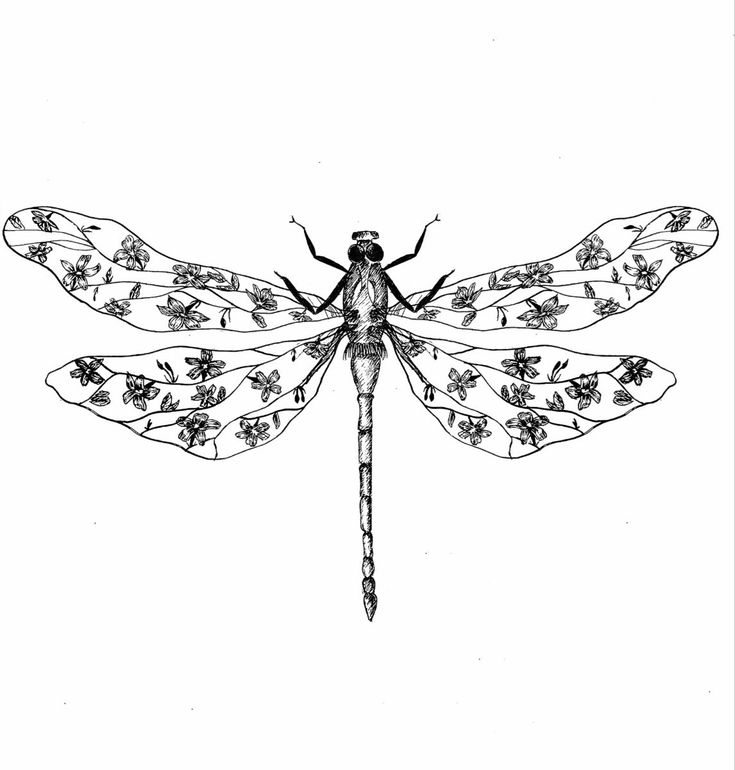 a black and white drawing of a dragonfly