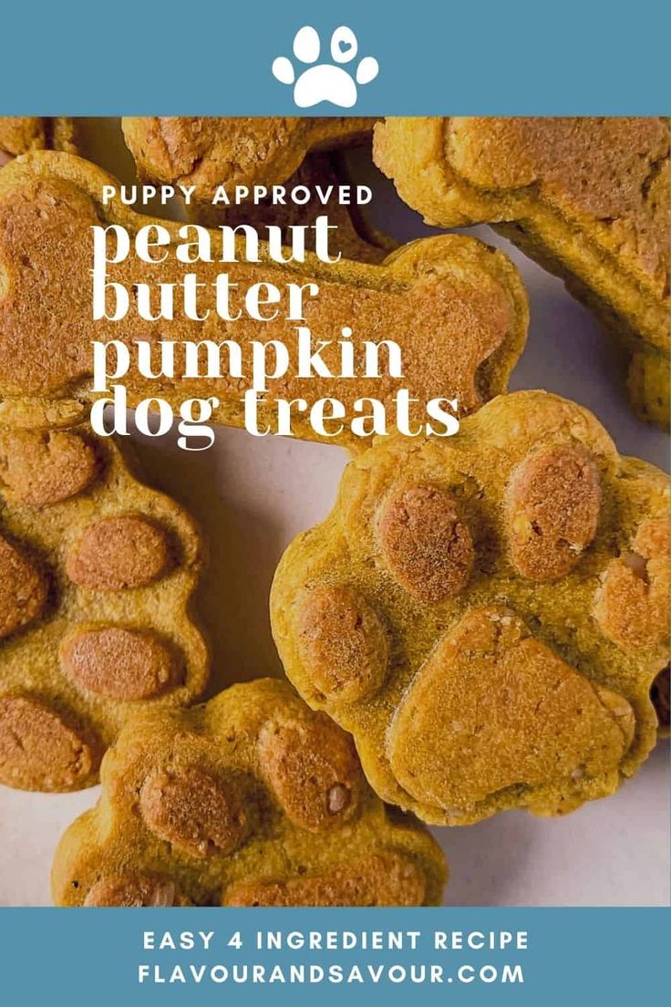 Paw print and dog bone dog treats. Dog Cookies With Pumpkin, Dog Treats Homemade Pumpkin Peanut Butter, Baked Dog Treats Recipes Peanut Butter, Easy Bake Dog Treats, Homemade Dog Treats Using Molds, Diy Dog Treats Silicone Mold, Dog Treats Mold Recipes, Dog Treats For Molds, Dog Treat Molds