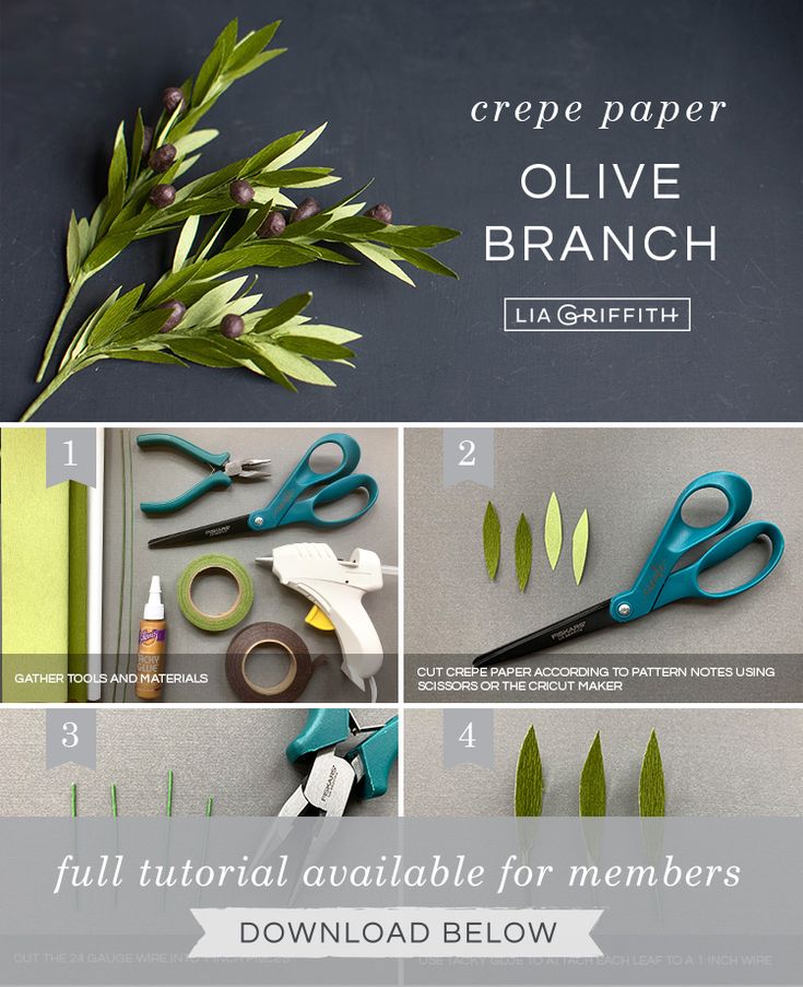 the instructions for how to make paper olive branches