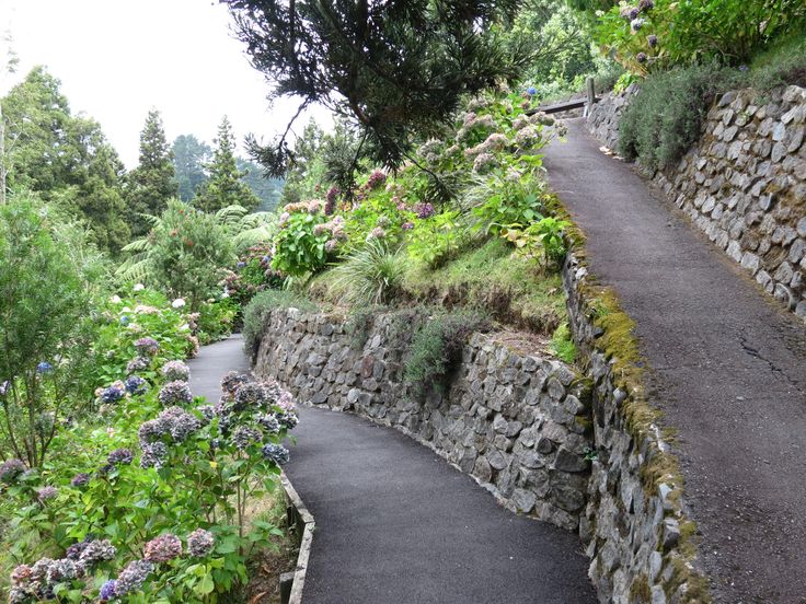 a stone wall and path surrounded by flowers