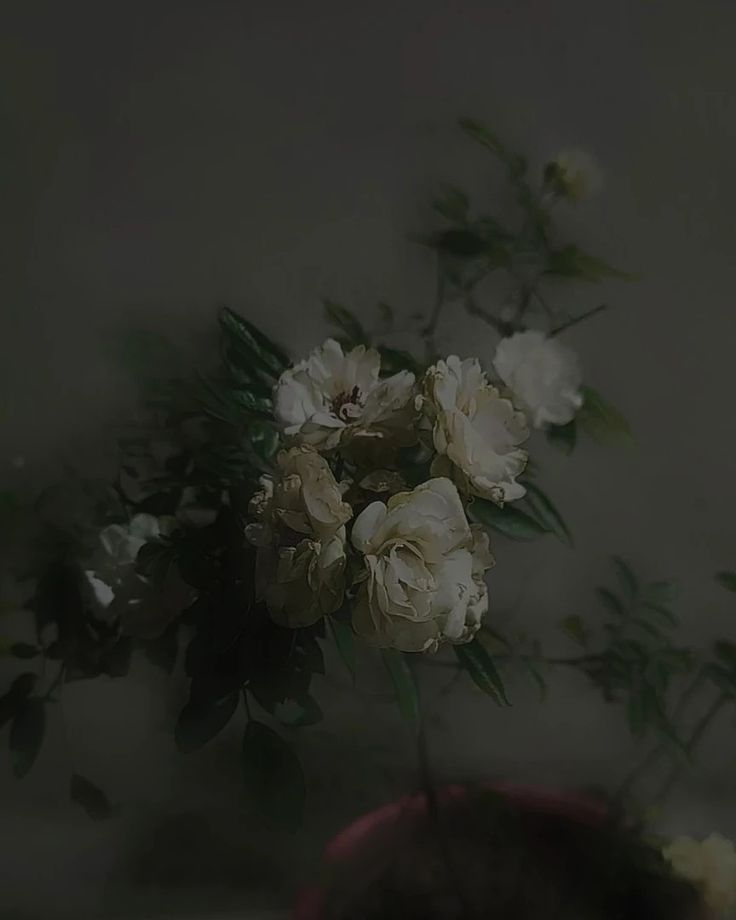 a bouquet of white flowers sitting on top of a table